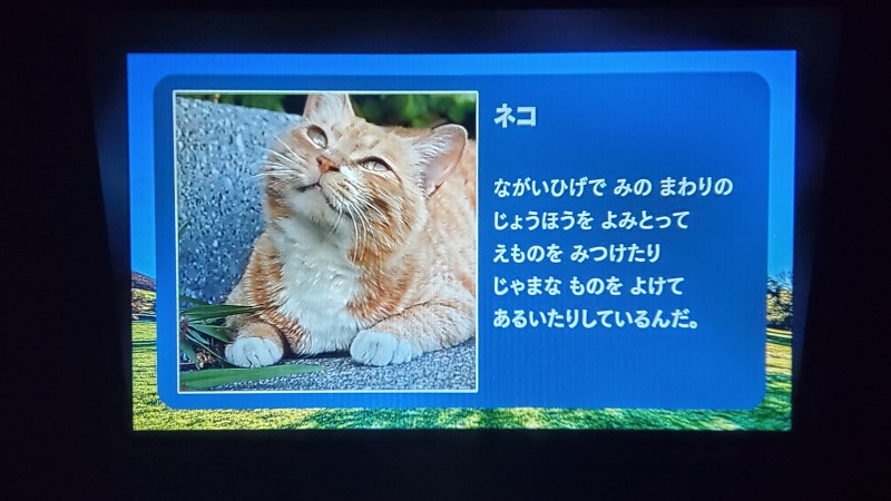 ずかん　どうぶつ