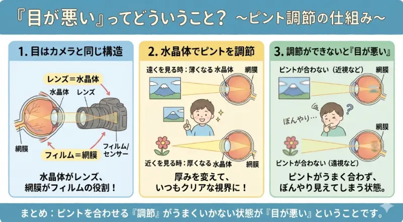 目が悪いとはピントを合わせる「調整」ができないということ解説図解
