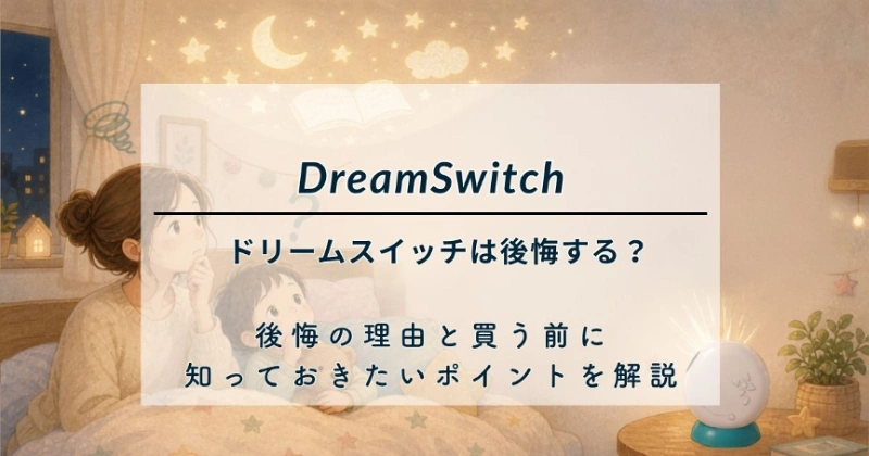 ドリームスイッチは後悔する？5年使った僕が後悔の理由と買う前に知っておきたいポイントを解説